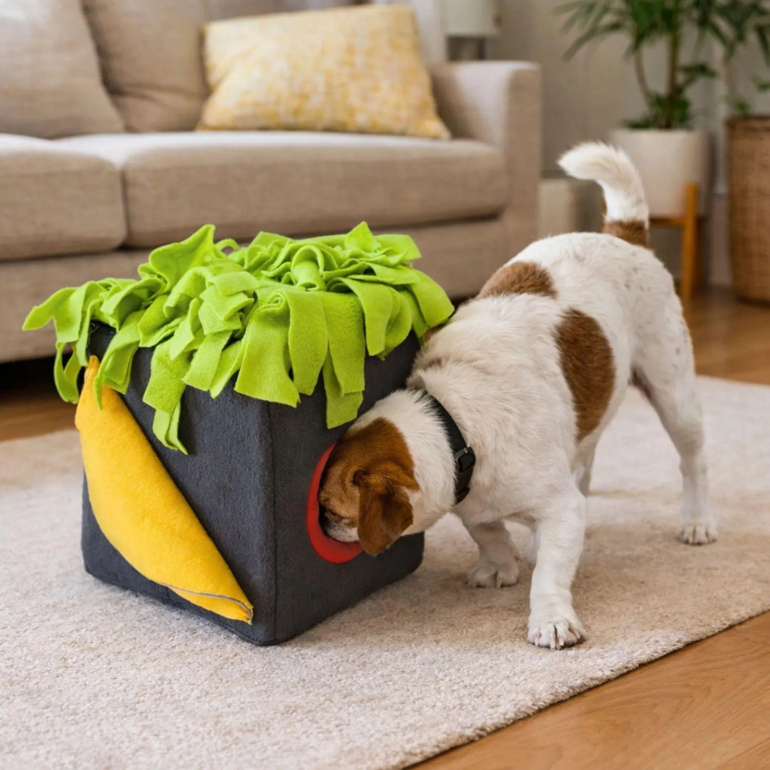 Juego Interactivo Tipo Cubo Para Perros - Compartimientos Para Comida Y Premios