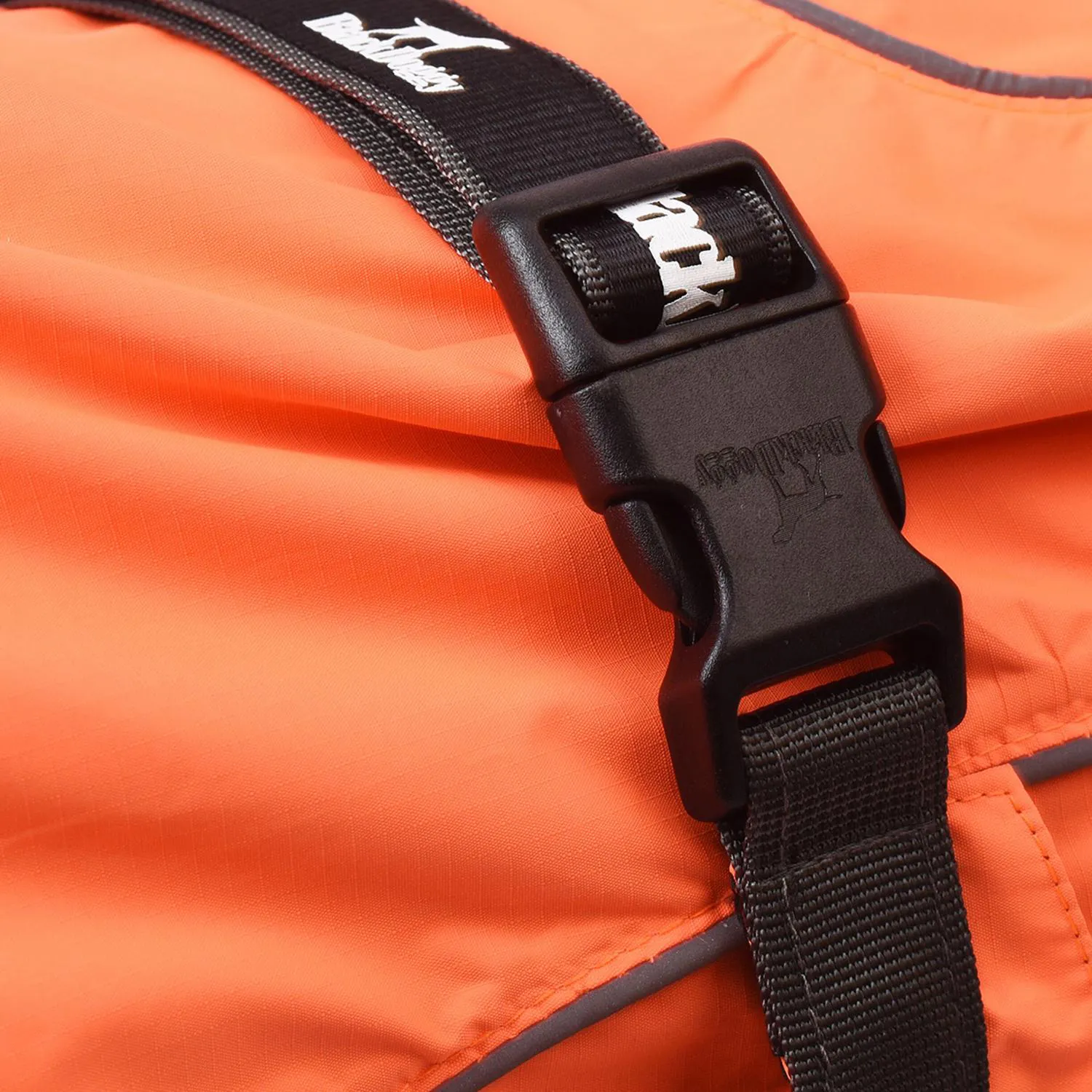 Chaleco Impermeable para Perros Pequeños con Ajuste Deportivo 5