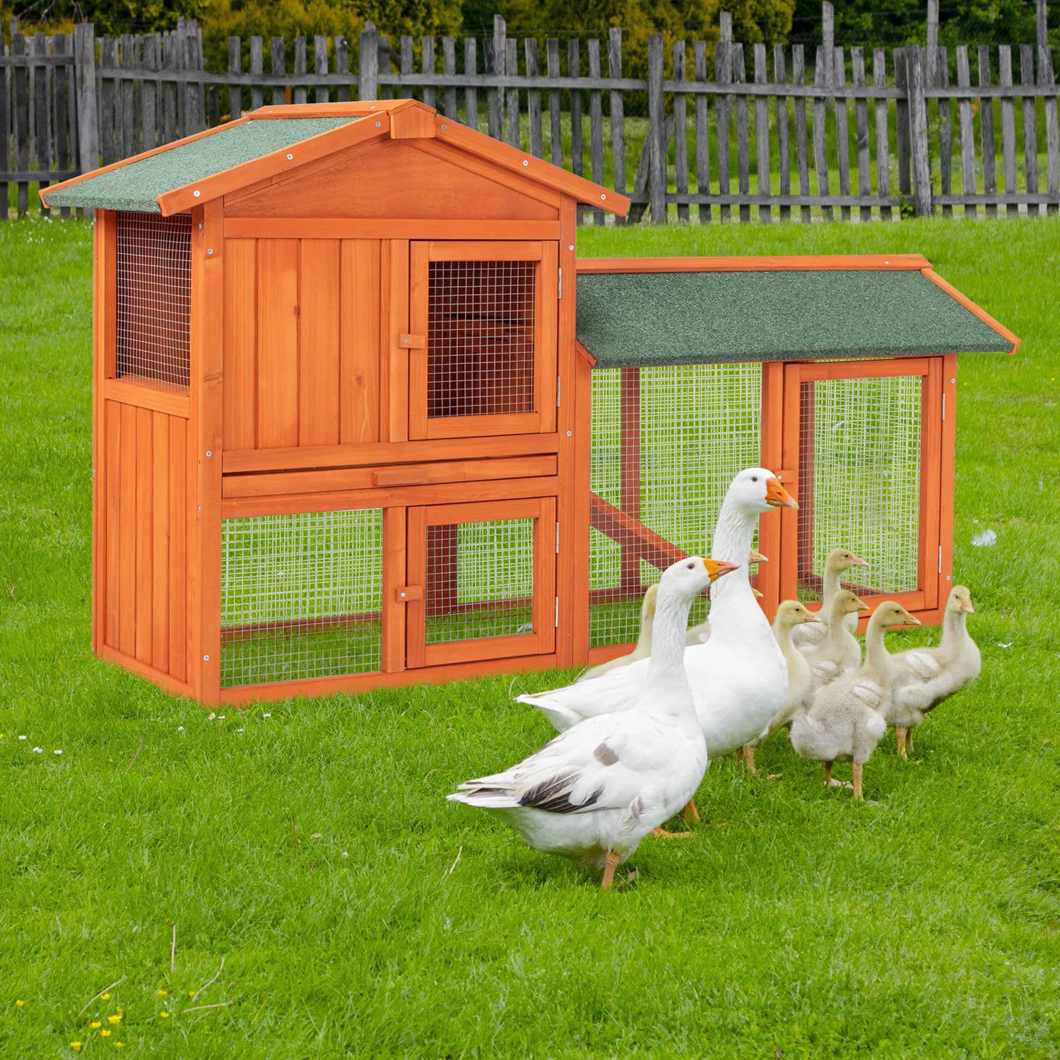 Gallinero de Madera para Aves y Conejos con Área Protegida 4