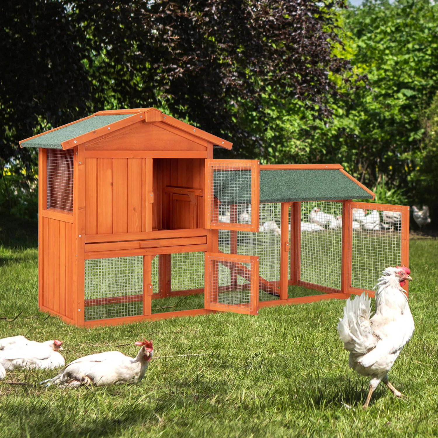 Gallinero de Madera para Aves y Conejos con Área Protegida 10