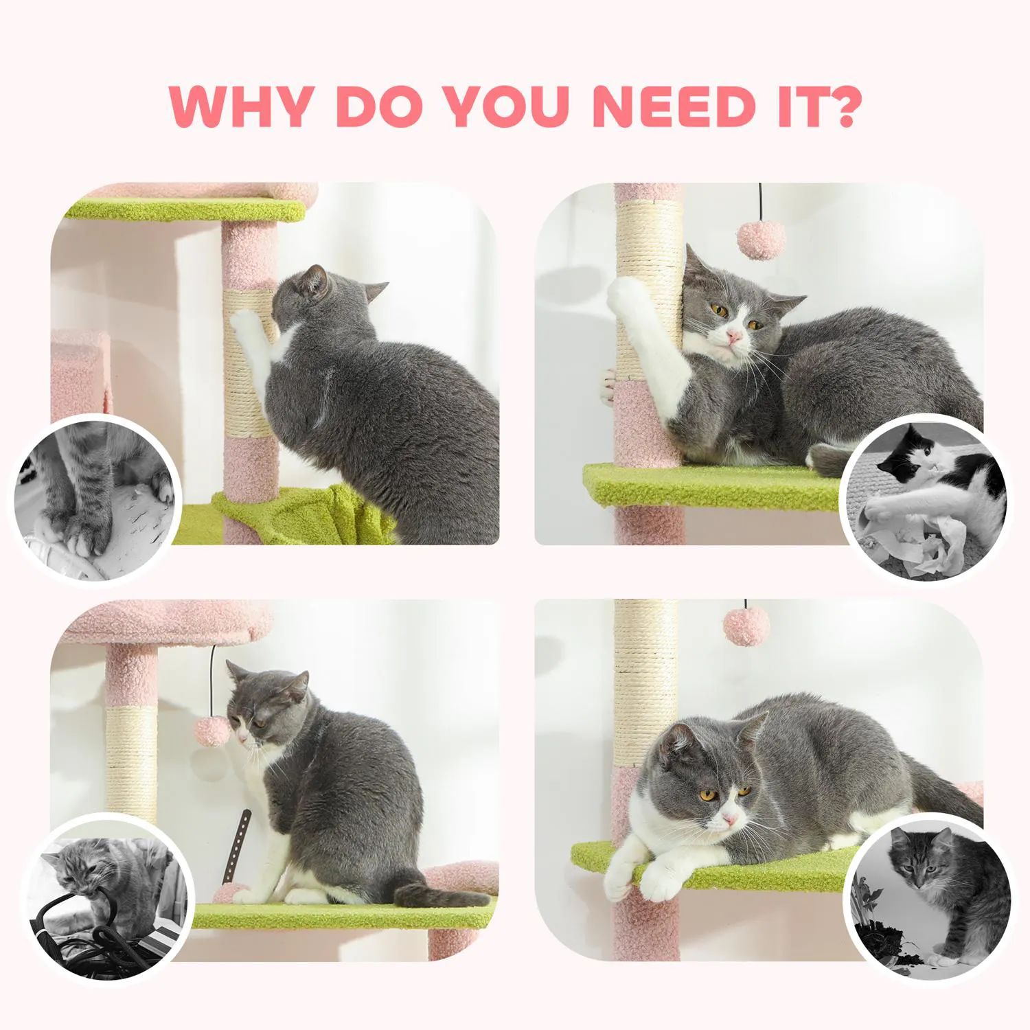 Gimnasio para gatos decorativo con flores y diseño compacto de interior 4