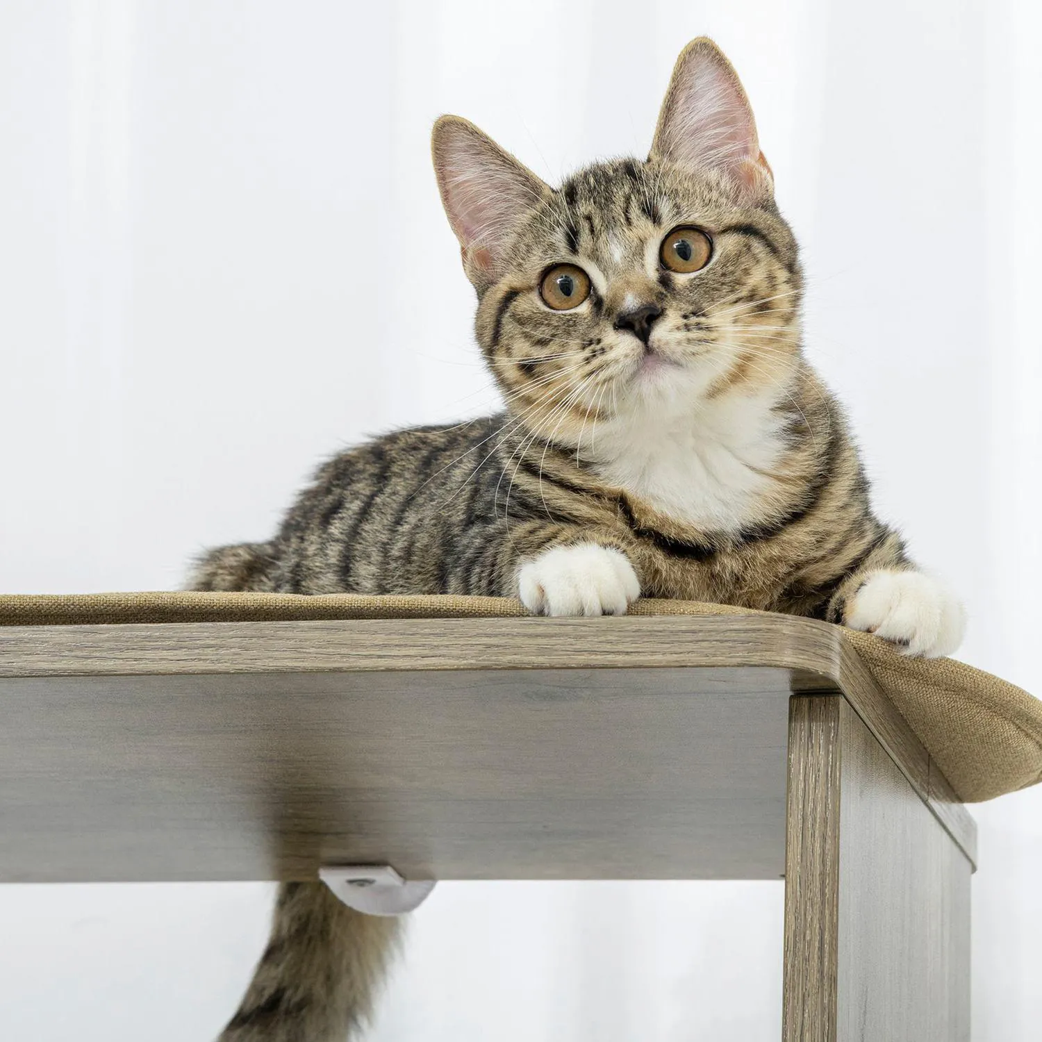 Gimnasio Esquinero Multinivel con Repisas Acolchadas y Gimnasioes para Gatos 6