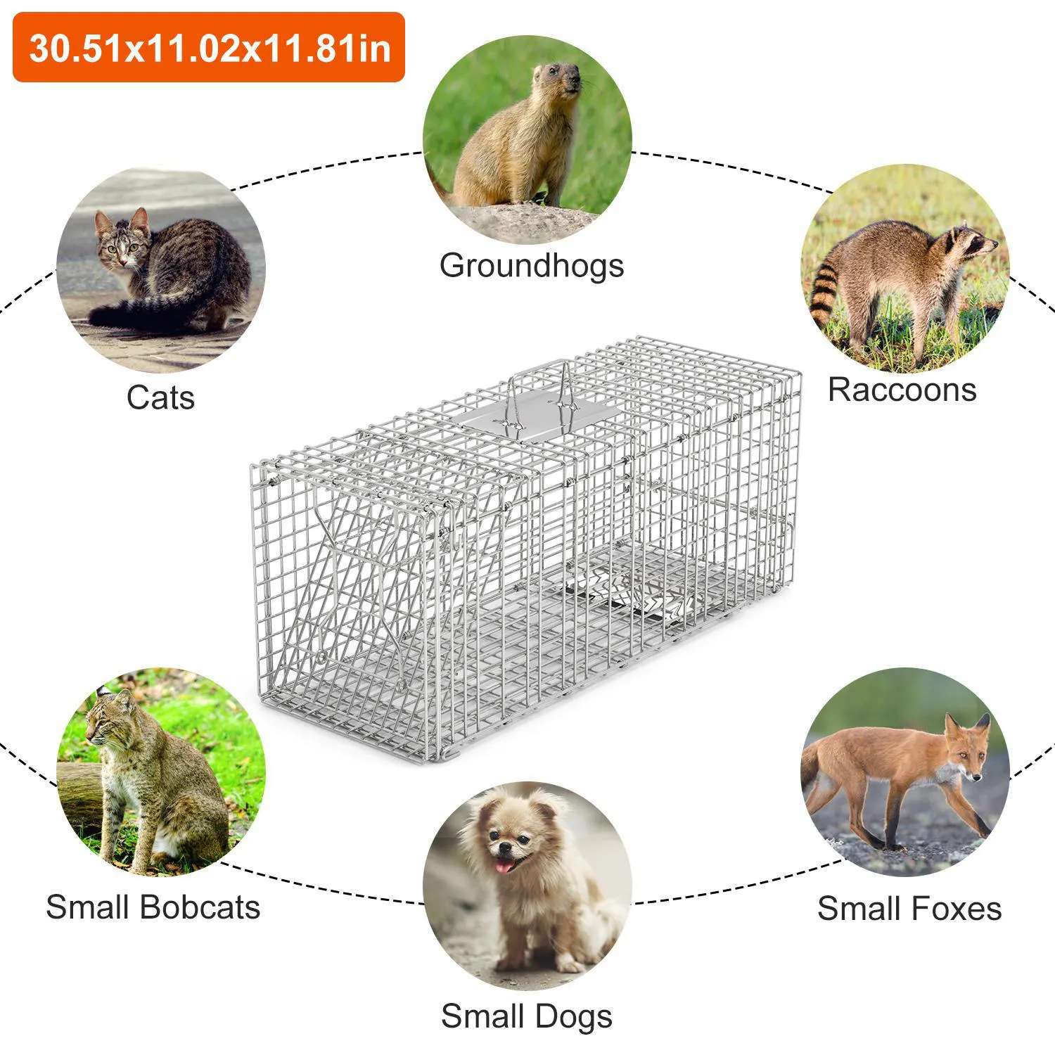 Jaula Trampa Humanitaria para Animales Pequeños con Puertas Dobles
