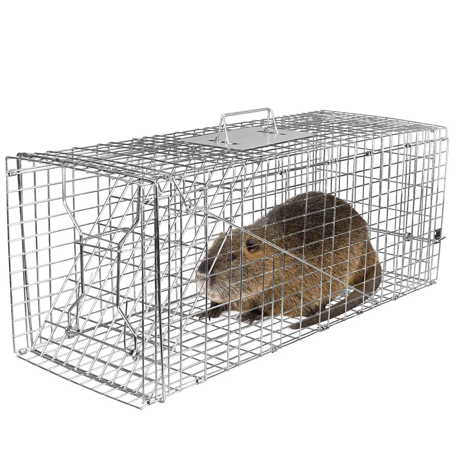 Jaula Trampa Humanitaria para Animales Pequeños con Puertas Dobles 9