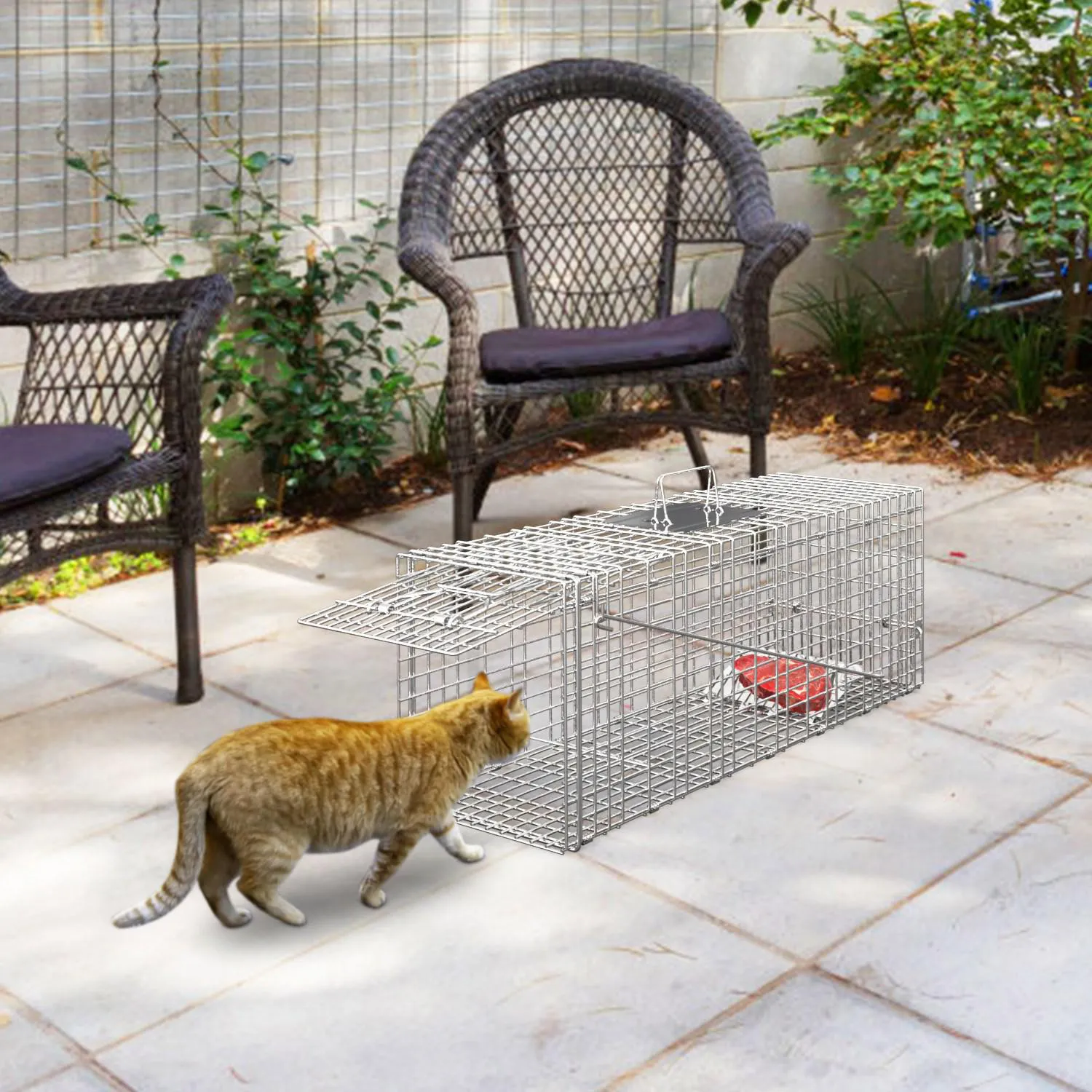 Jaula Trampa Humanitaria para Animales Pequeños con Puertas Dobles 10
