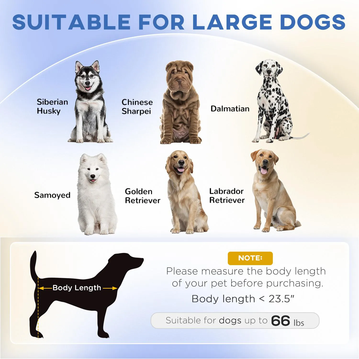 Sofá Para Perros Grande Con Diseño Elevado Verde Natural 3