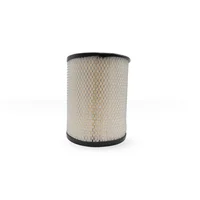 Filtro de Aire Compatible con Fs Curtis Rn24040-1