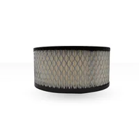 Filtro de Aire Compatible con Ozen Oaf105