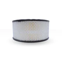 Filtro de Aire Compatible con Woodward Sales 30011466