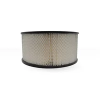 Filtro de Aire Compatible con Woodward Sales 30022326