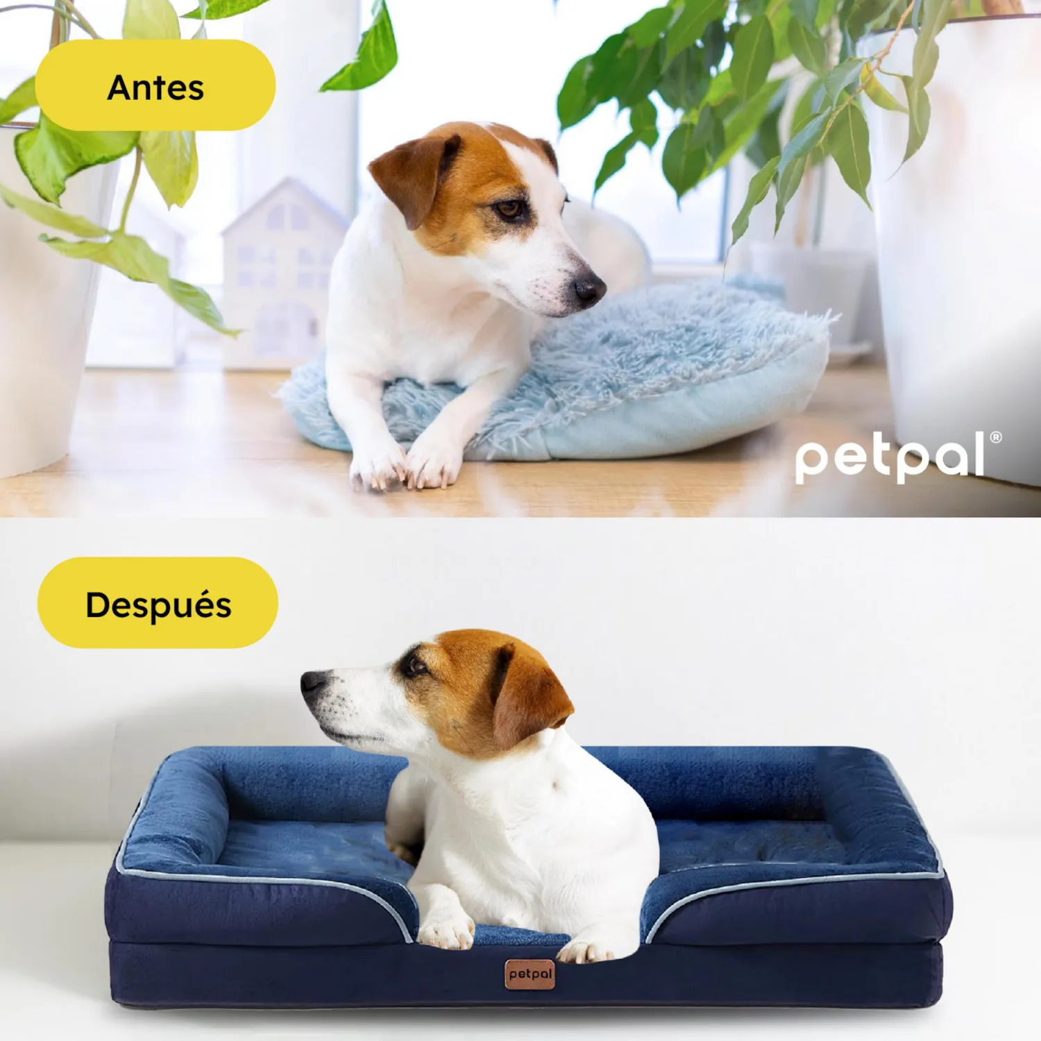 Cama para Perro Mascota Impermeable Lavable Petpal Mediana 8