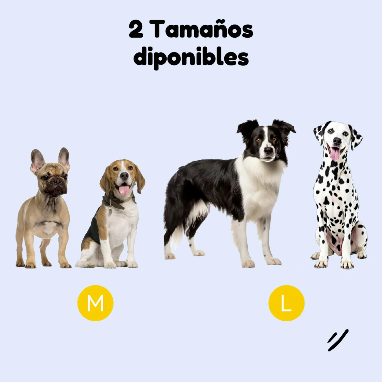 Cama para Perro Mascota Impermeable Lavable Petpal Mediana 9