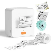 Rotuladora Térmica Bluetooth Recargable 2 Pulgadas P1 Detonger