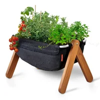 Huerta Urbana Decorativa Para Casa Balcón Y Oficina