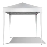 Toldo Plegable Para Exteriores 2m x 2m Con Altura Ajustable Color Blanco