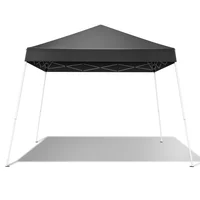 Toldo Plegable Para Exteriores 2,44 m x 2,44 m Gris Oscuro Con Patas Inclinadas