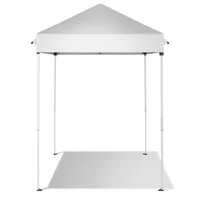 Toldo Plegable Para Exteriores 152cm x 152cm Blanco Con Protección UV