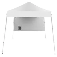 Toldo Plegable Para Exteriores 240cm x 240cm Blanco Con Apertura Rápida