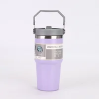Botilo Con Asa Acero Inoxidable 600 ml Morado