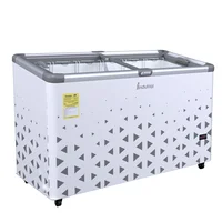 Congelador Horizontal Frigo Hva400