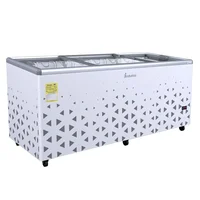 Congelador Horizontal Frigo Hv530