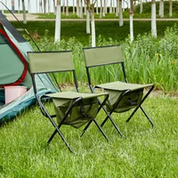 Sillas Plegables de Exterior con Bolsa de Almacenamiento Color Verde