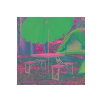 Juego de Mesa de Picnic Plegable Portátil para Exteriores
