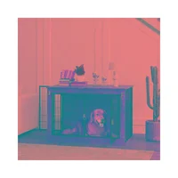Jaula para Perro de Metal para Uso Diario