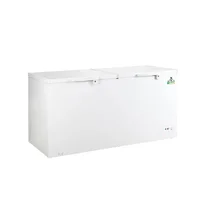 Congelador Horizontal 520 Lts Doble Tapa Eco Amigable