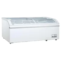 Congelador Swan Xs-500yx Puerta de Vidrio