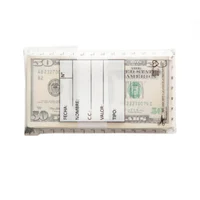 Bolsa de Seguridad para Dinero 9x17 cm x 100 Unidades