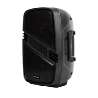 Cabina de Sonido 6.5 Pulgadas x 2 Negro NT-PB16 Niatec