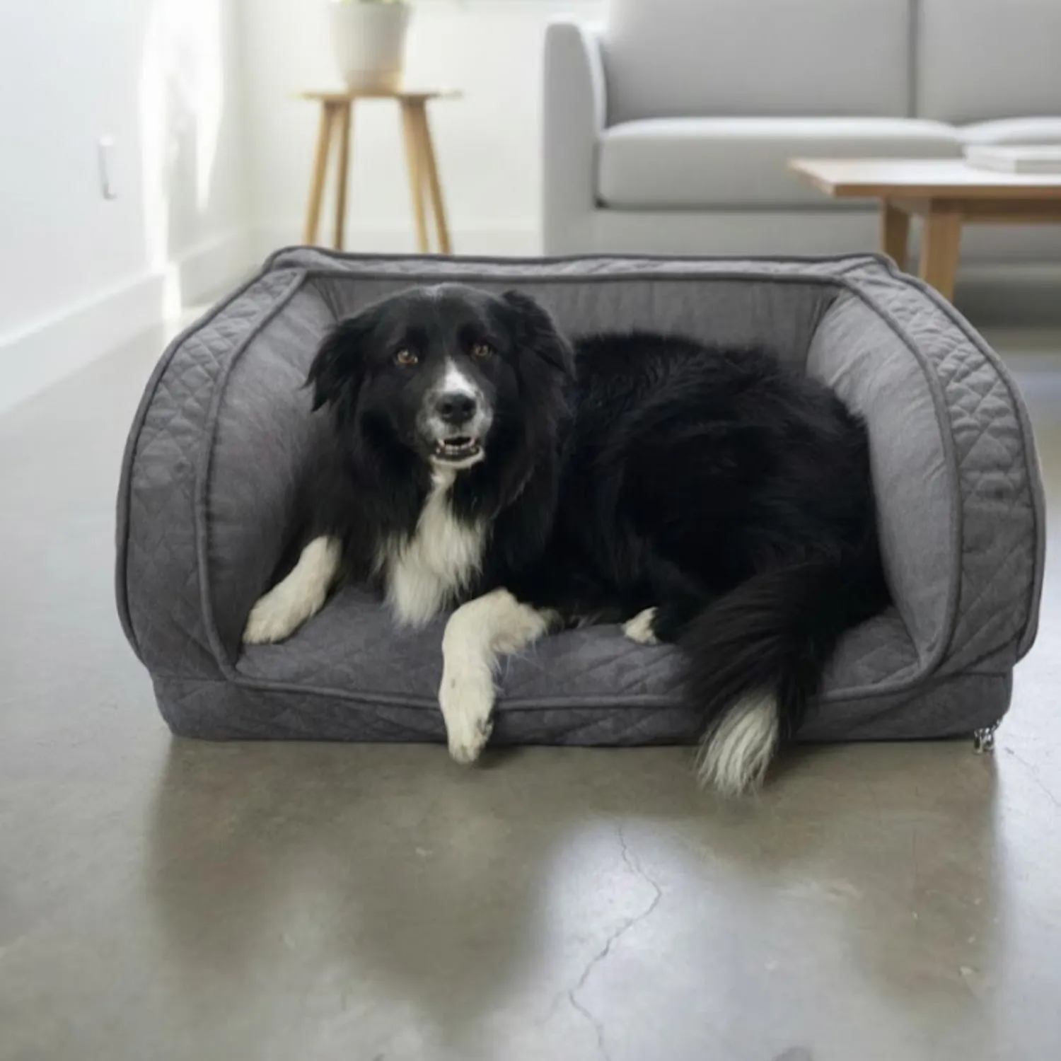 Cama Sofá Mediana Gris 85cm x 65cm