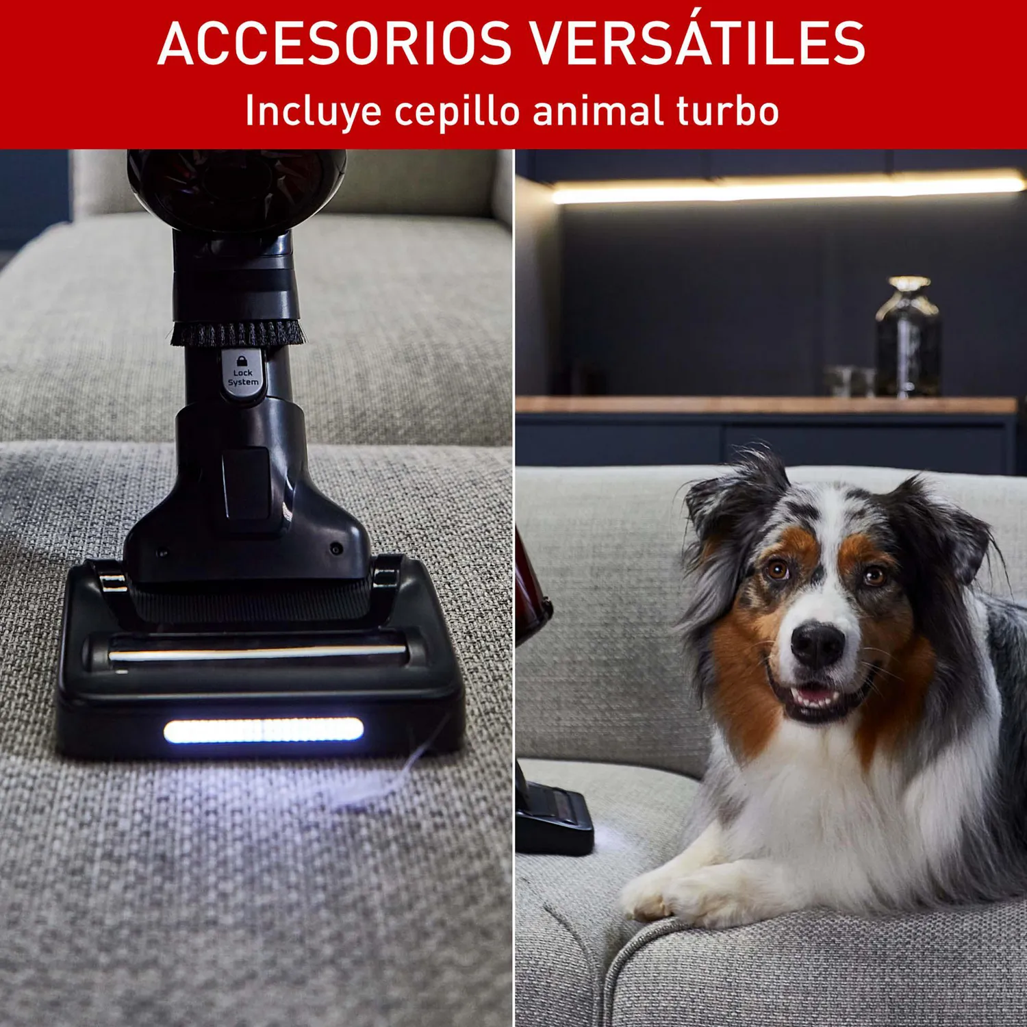 Aspiradora Inalambrica T-fal X-force Flex 13.60 5