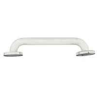 Barra de Seguridad Lisa Brillante Acero Plateada 30cm