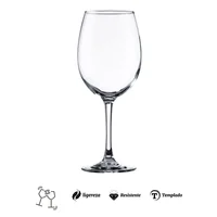 Copa Vino Syrah Templado 580 ml España