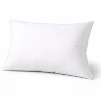 Set*2 Almohada Siliconada Doble Funda 45cm*65cm