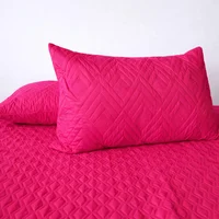Set*2 Almohada Siliconada + Protector Almohada Fucsia