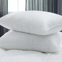 Set*2 Almohada Siliconada Doble Funda 50cm*70cm