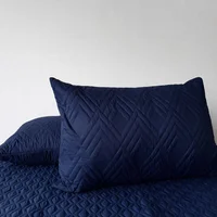 Set*2 Almohada Siliconada + Protector Almohada Azul Oscuro