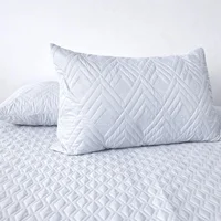 Set*2 Almohada Siliconada + Protector Almohada Blanco