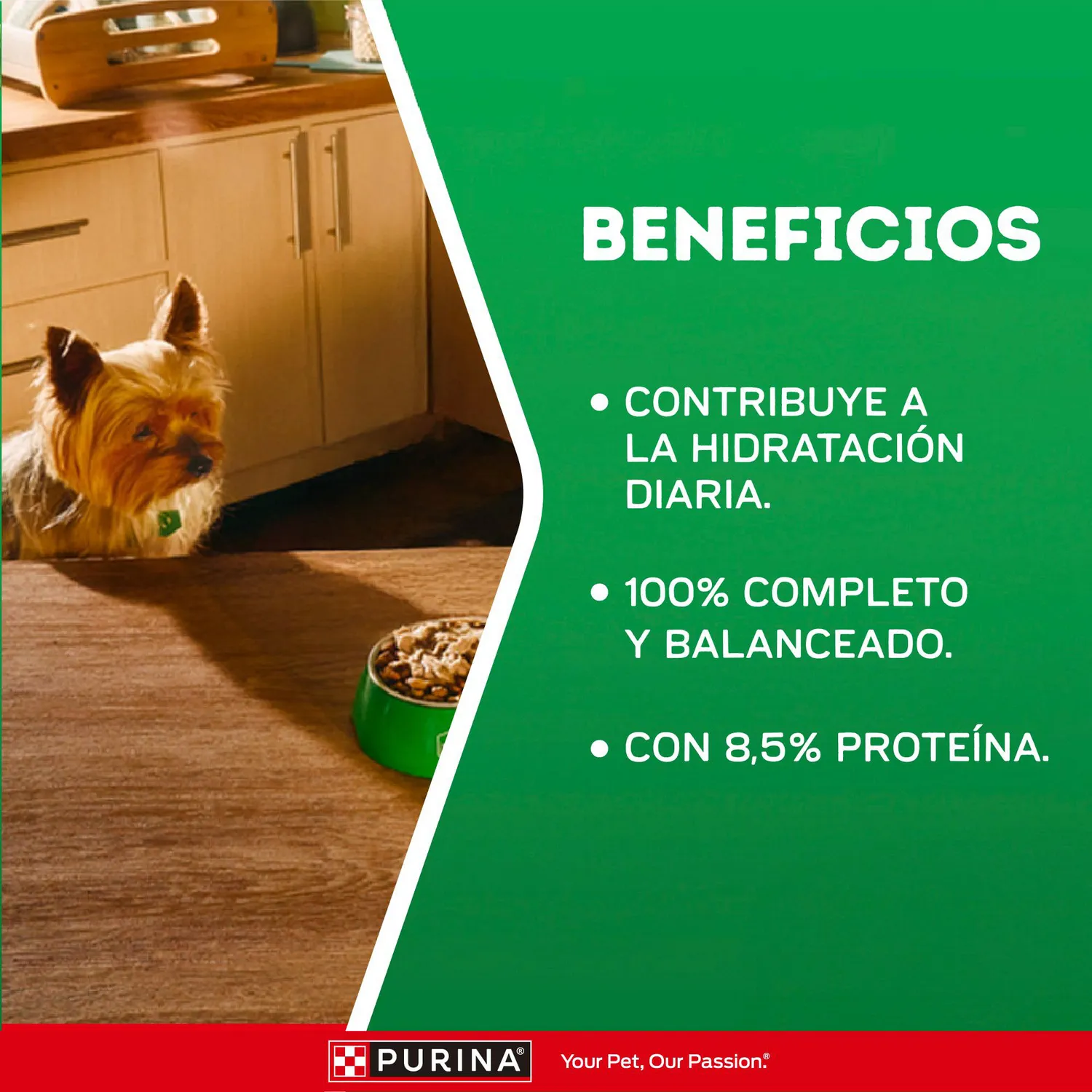 Comida Húmeda Perro Dog Chow Multipack 7und 85gr