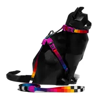Prisma Harness + Leash Set