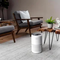 Purificador de Aire para Mascotas HEPA Inteligente con WiFi Cobertura 100 m² Levoit