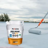 Impermeabilizante Dry Roof Blanco Placco Bolsa 1 Galón