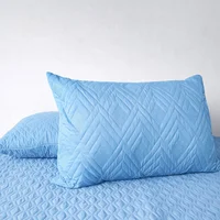 Set*2 Protector Almohada Acolchado 45cm*65cm Azul Claro