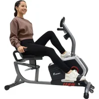 Bicicleta Reclinada Magnética Fitness