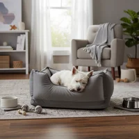 Cama De Lujo Mediana Gris