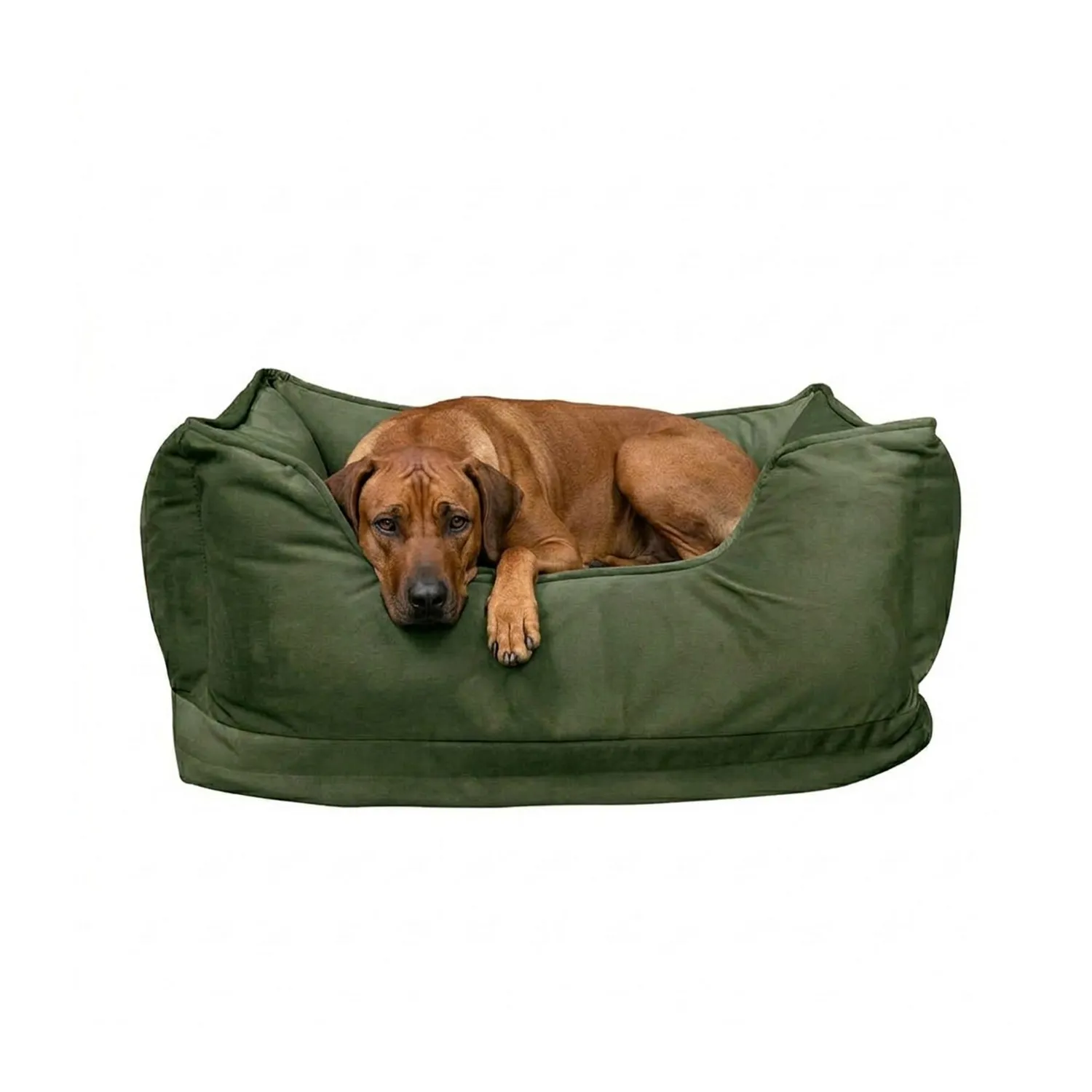 Cama De Lujo Mediana Verde