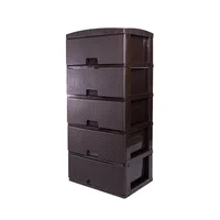 Practimueble Organizador Plástico Grande de 5 Niveles Wengue Colplast